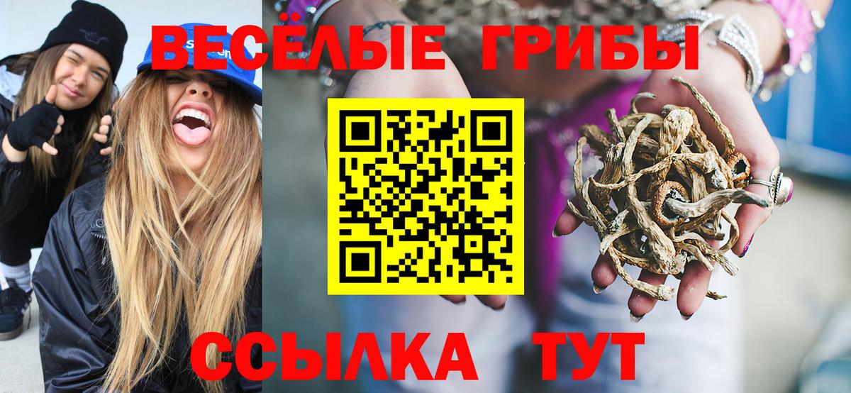 Псилоцибиновые грибы Psilocybine cubensis  Вход с VPN  Новокубанск 