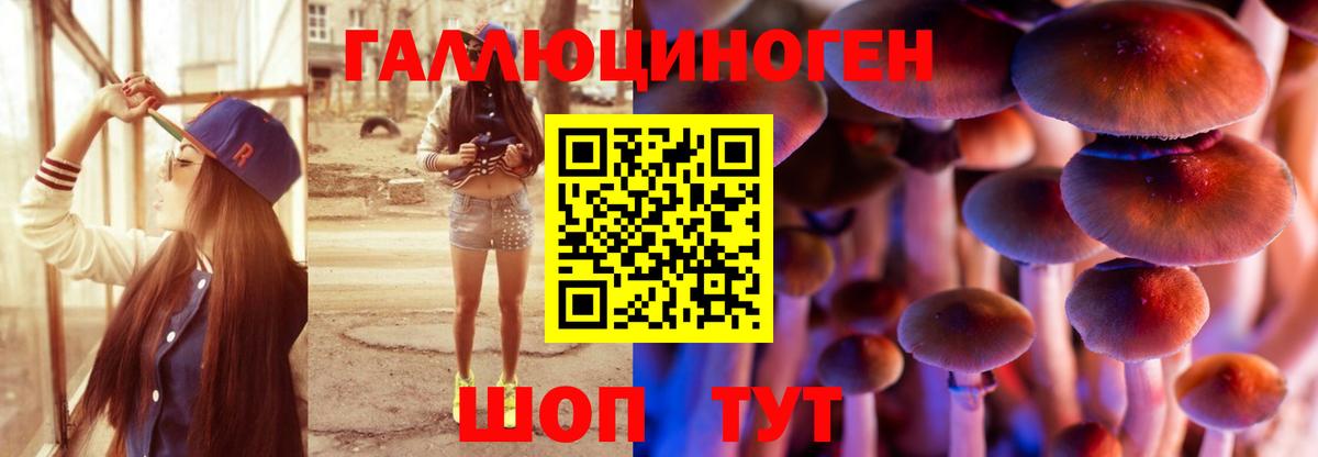 Псилоцибиновые грибы Magic Shrooms Новокубанск