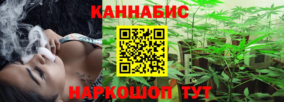 Конопля AK-47  Конопля THC 21%  Новокубанск  Вход с VPN 